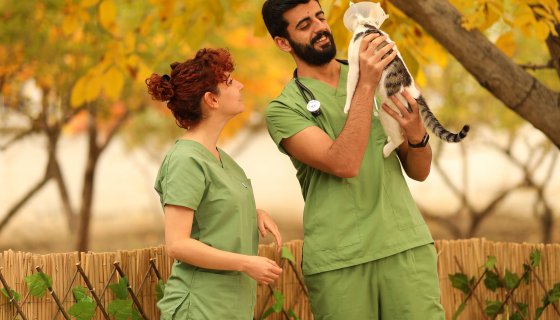 Van Veteriner Kliniği Doğa  Pet Veteriner Kliniği Tanıtım Videosu